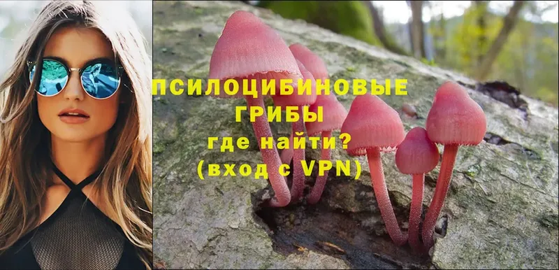 Псилоцибиновые грибы MAGIC MUSHROOMS  мега вход  Десногорск 